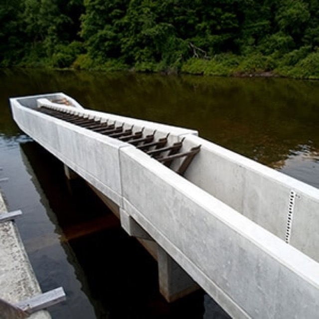 USACE – Fish Passage Facilities